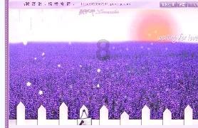 “马树山案”的喜与忧