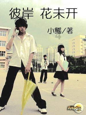 永善开展烟花爆竹专项整治